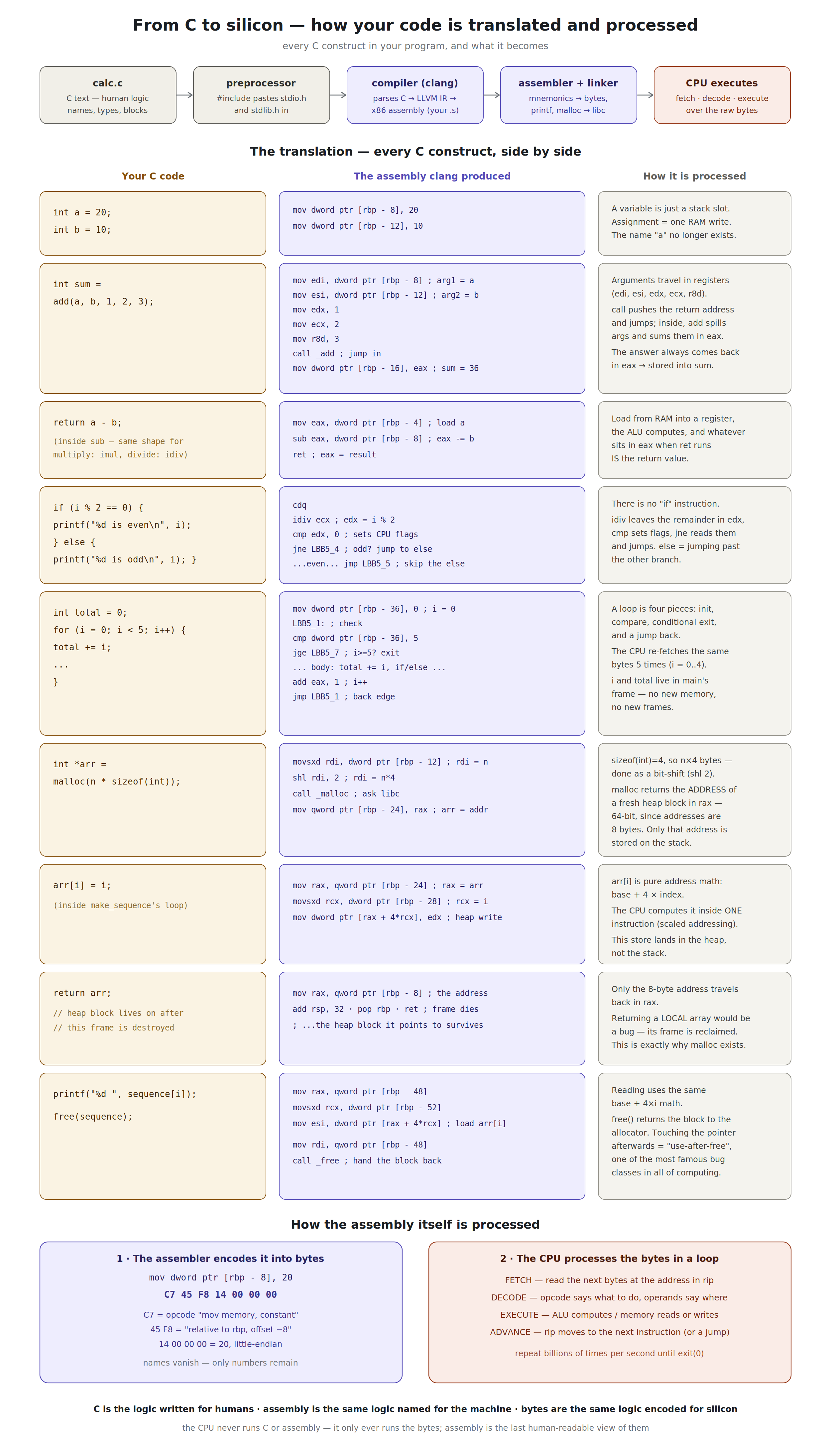 C to assembly — malloc, the NULL check, arr[i] indexing, returning a pointer, and free, each mapped from C to the instructions clang produced